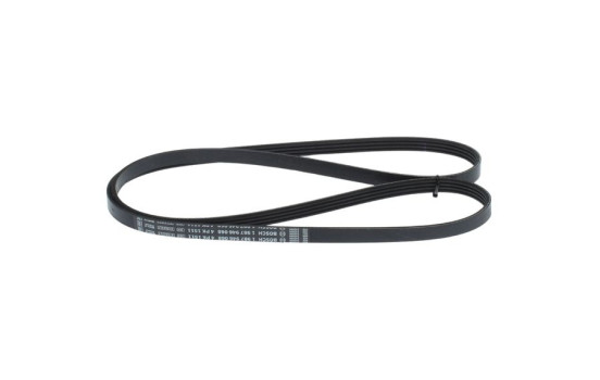 Multi-belt