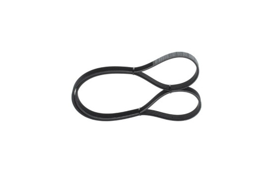 Multi-belt
