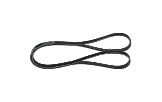 Multi-belt