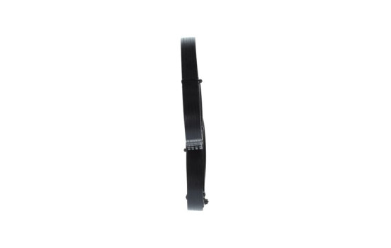 Multi-belt, Image 2