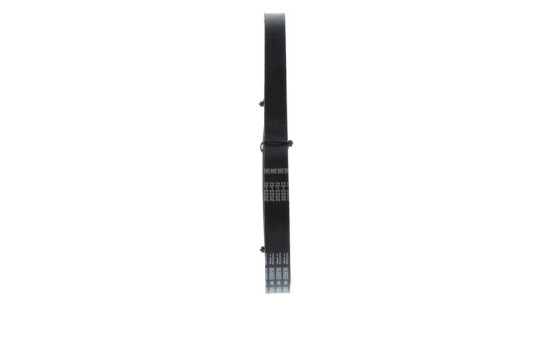 Multi-belt, Image 8