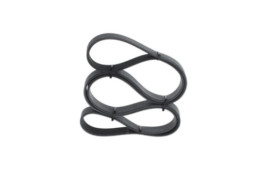 Multi-belt, Image 3