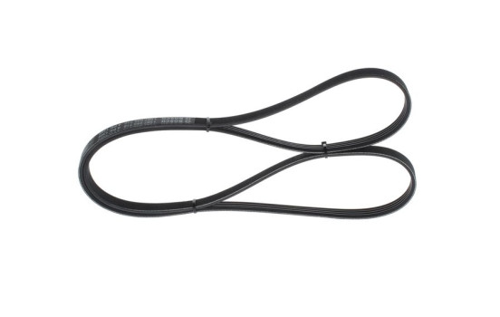 Multi-belt