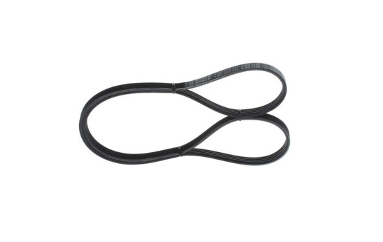 Multi-belt
