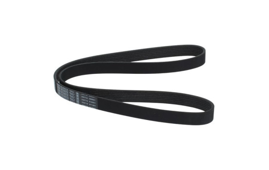Multi-belt