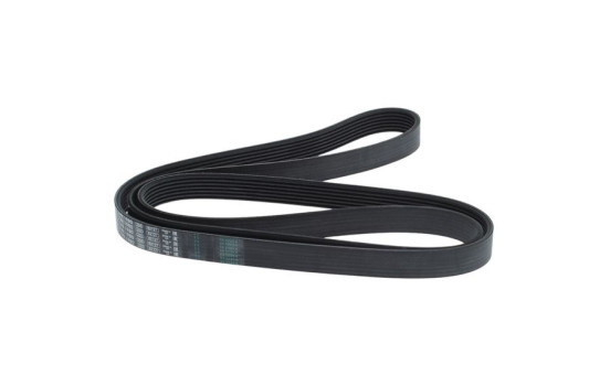 Multi-belt