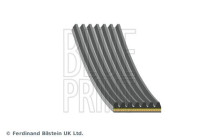 multi V-belt AD07R1065 Blue Print