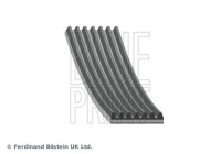 multi V-belt AD07R1220 Blue Print