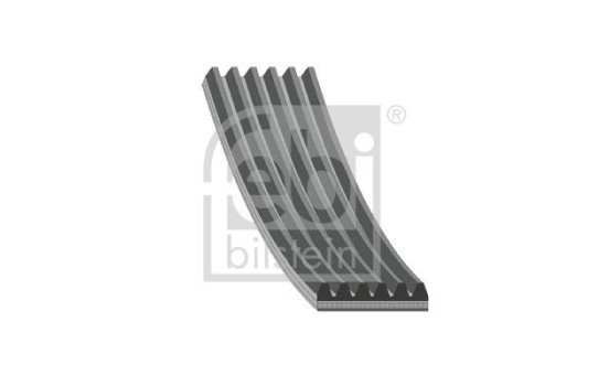Poly V-belt 184877 FEBI