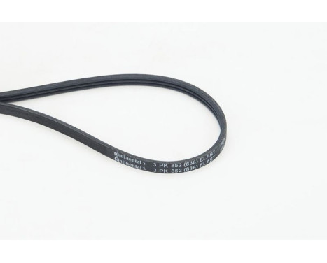 Poly V-belt 3PK852 ELAST Contitech