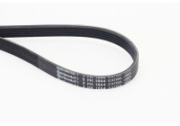 Poly V belt 5PK1664 EXTRA Contitech