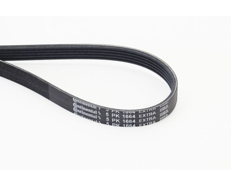 Poly V belt 5PK1664 EXTRA Contitech
