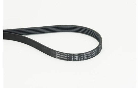 Poly V-belt 5PK775 ELAST Contitech