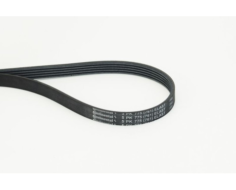 Poly V-belt 5PK775 ELAST Contitech