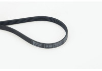 Poly V-belt 5PK854 ELAST Contitech