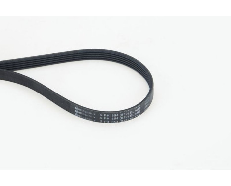 Poly V-belt 5PK854 ELAST Contitech