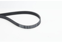 Poly V-belt 6PK1027 ELAST Contitech
