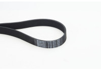 Poly V-belt 8PK2011 Contitech