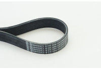Poly V-belt 8PK954 EXTRA Contitech