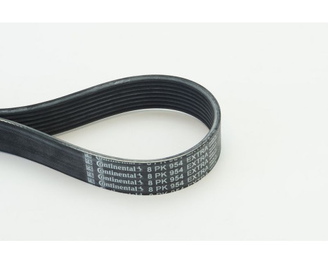 Poly V-belt 8PK954 EXTRA Contitech