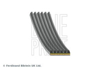 Poly V-belt AD06A926 Blue Print
