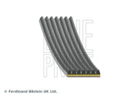 Poly V-belt AD07A1457 Blue Print