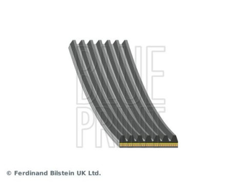 Poly V-belt AD07A1457 Blue Print