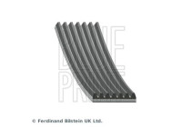 Poly V-belt AD07R1666 Blue Print