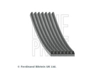 Poly V-belt AD07R2443 Blue Print