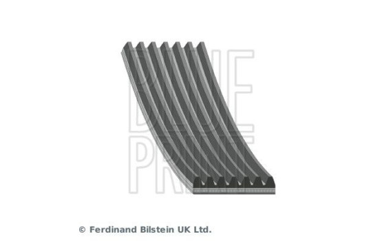 Poly V-belt AD07R901 Blue Print