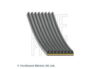 Poly V-belt AD08A1055 Blue Print