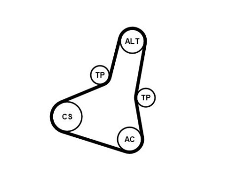 Poly V-belt set 6PK1004 EXTRA K1 Contitech, Image 3