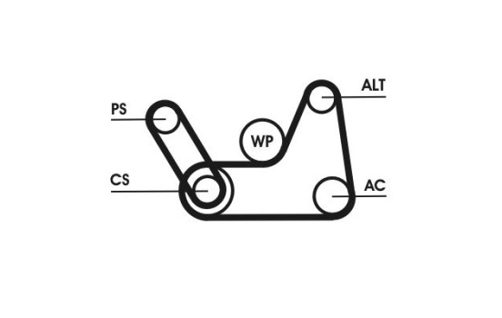 Poly V-belt set 6PK1019 ELAST T1 Contitech, Image 2