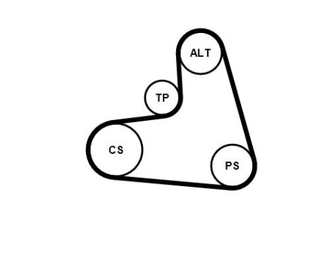 Poly V-belt set 6PK1120K1 Contitech, Image 3