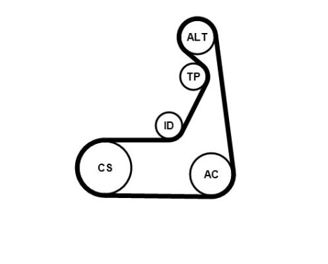 Poly V-belt set 6PK1173K2 Contitech, Image 3