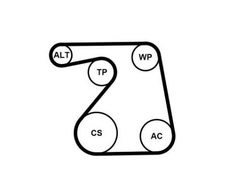 Poly V-belt set 6PK1360K1 Contitech, Image 2