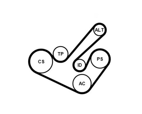 Poly V-belt set 6PK1555K9 Contitech, Image 2
