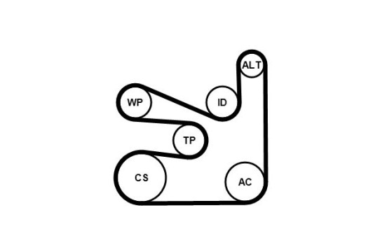 Poly V-belt set 6PK1660K5 Contitech, Image 3