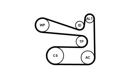 Poly V-belt set 6PK1693K1 Contitech, Image 3