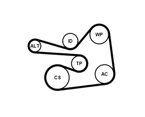 Poly V-belt set 6PK1830K1 Contitech, Image 3