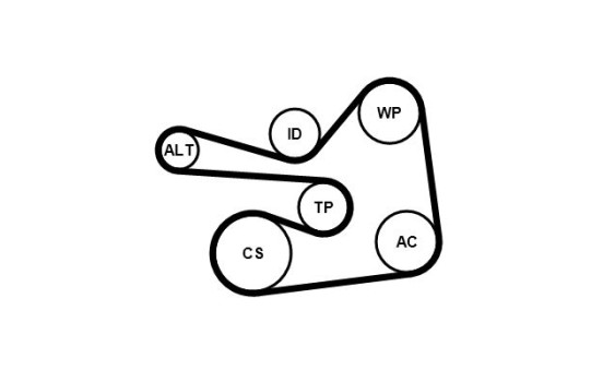 Poly V-belt set 6PK1830K1 Contitech, Image 3