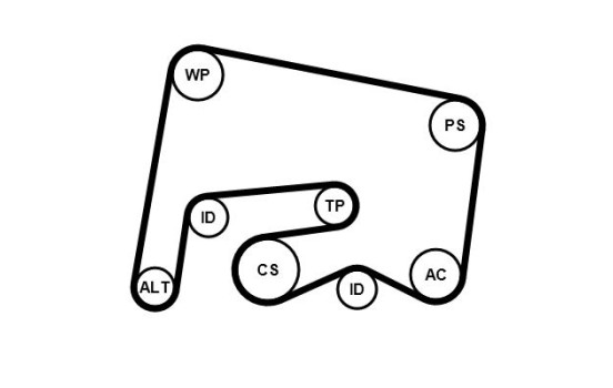 Poly V-belt set 6PK2155K2 Contitech, Image 3
