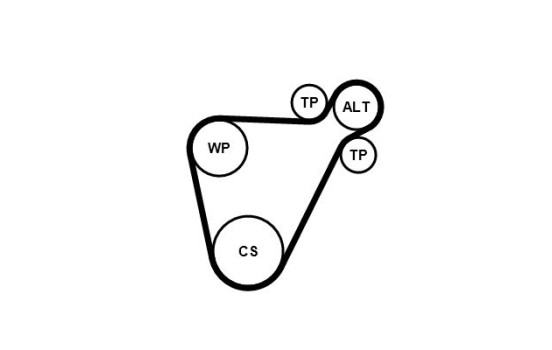 Poly V-belt set 8PK954 EXTRA K1 Contitech, Image 2