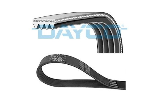 Poly V belt