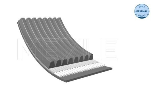 Poly V-belt