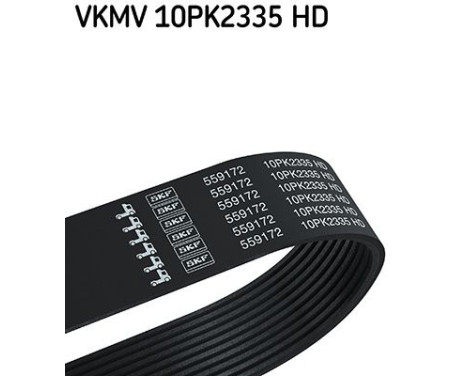 Poly V-belt