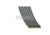 Poly V-belt