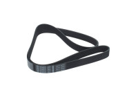 Poly V-belt
