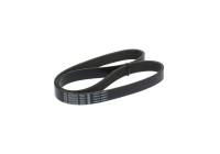 Poly V-belt