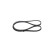 Poly V-belt
